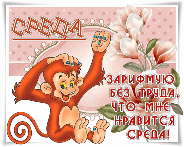 Открытка открытки с пожеланиями хорошей среды - Открытка с обезьянкой: С Днем недели! | Красивая открытка #3