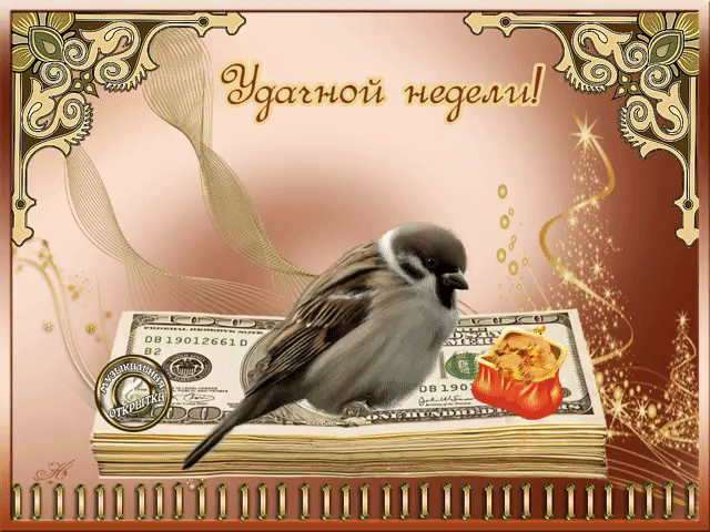 Открытка Открытки удачной недели - Птица на долларах, открытка с птицей | Красивая открытка #83