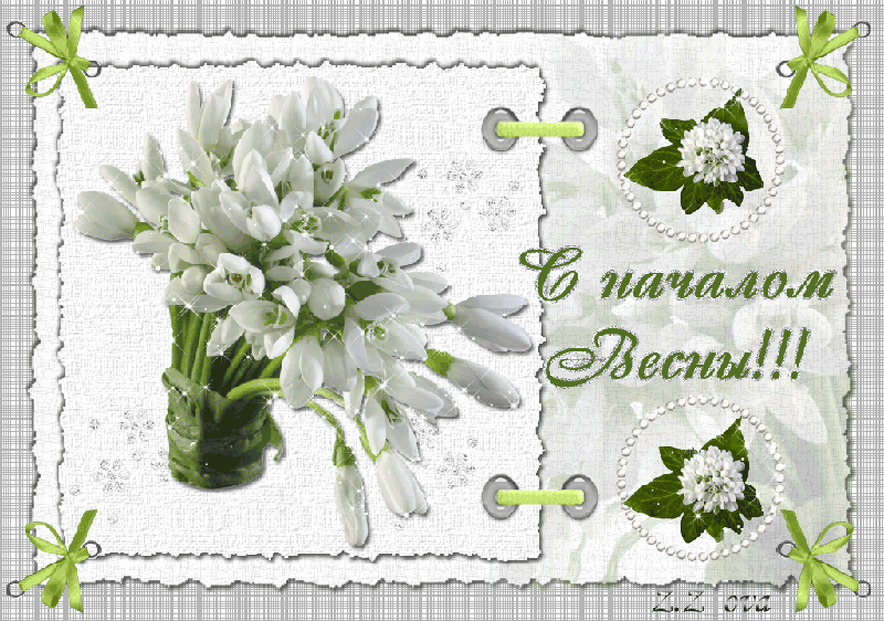 Открытка Открытки с первым днем весны - Открытка с подснежниками - Весеннее настроение | Красивая открытка #3