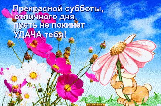 Открытка Открытки на субботу - Зайчик с цветком: открытка с днем рождения | Красивая открытка #207