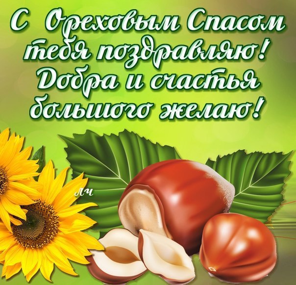 Открытка Ореховый спас - Солнечная открытка с подсолнухом и орехами | Красивая открытка #81