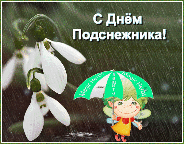 Открытка День подснежника - Открытка С Днём Подснежника: Милая Фея под Дождём | Красивая открытка #13