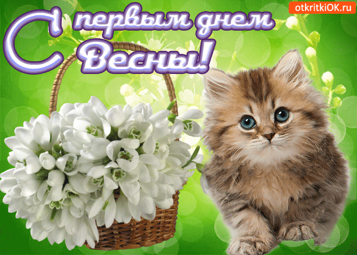 Открытка Первый день весны - Открытка с котенком и цветами | Красивая открытка #71