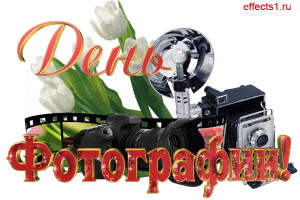 Открытка Открытки с днем фотографа - Открытка с цветами и фототехникой | Красивая открытка #36