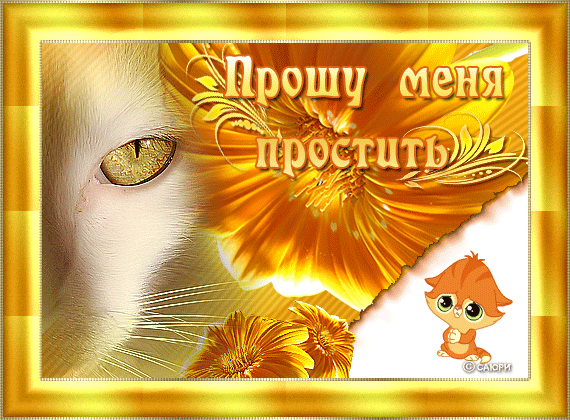 Открытка Прости - Открытка с котиком и цветами | Красивая открытка #104