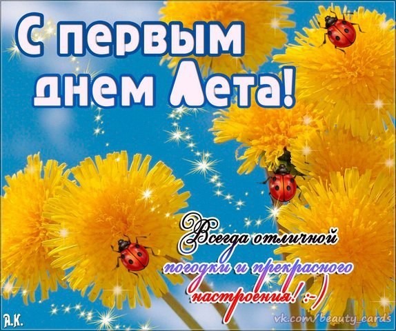 Открытка открытки с первым днем лета  - Открытка с днем рождения: цветы, божья коровка | Красивая открытка #8