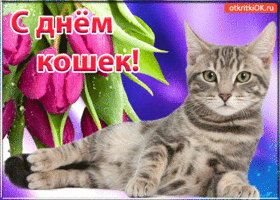 Открытка С Всемирным днём кошек - Открытка с котенком и тюльпанами | Красивая открытка #52