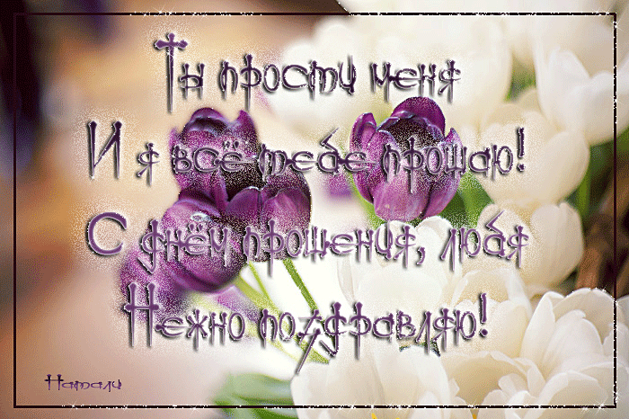 Открытка открытки с извинениями  - Открытка с фиалками и белыми цветами | Красивая открытка #228