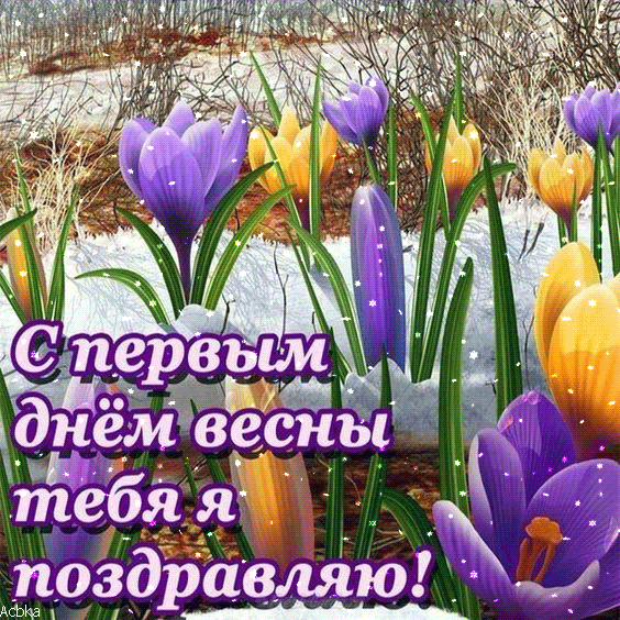 Открытка  С первым днем весны - Весенние подснежники на снегу: открытка с цветами | Красивая открытка #75