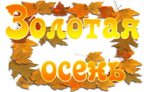 Открытка Открытки Золотая Осень  - Золотая осень: яркие листья и теплые поздравления | Красивая открытка #44