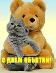 Открытка открытки на день объятий  - Открытка с котенком на мишке  С Днём! | Красивая открытка #16