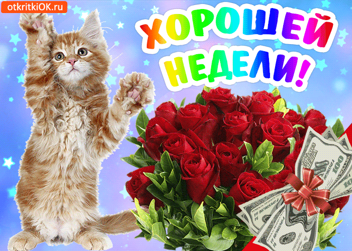 Открытка Хорошей недели - Открытка с котенком, розами и деньгами | Красивая открытка #61