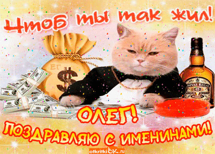 Открытка Открытки с именем Олег  - Открытка с котом, деньгами и виски | Красивая открытка #131