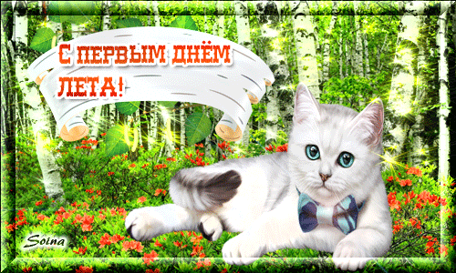 Открытка С первым днём лета - Открытка с котенком: С Днём лета! | Красивая открытка #43