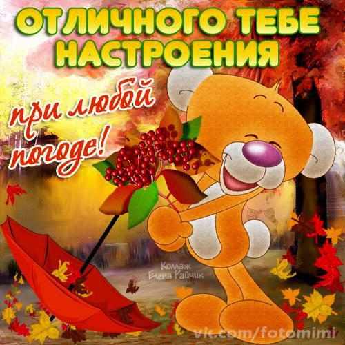 Открытка открытки с пожеланиями хорошего настроения  - Открытка с милым котиком и осенними листьями | Красивая открытка #23
