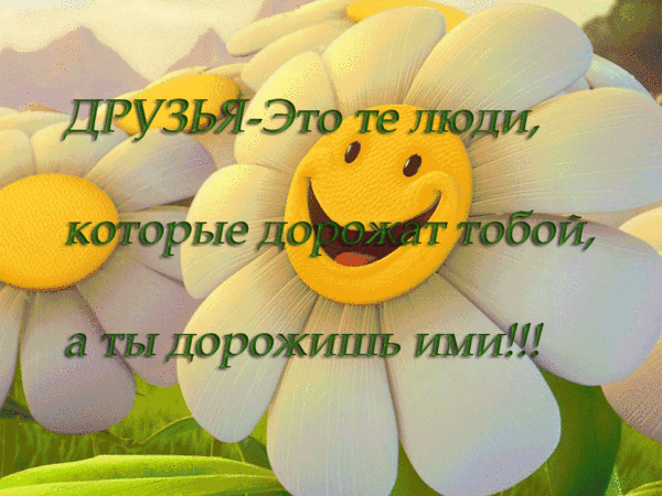 Открытка О дружбе - дорого Поздравительная открытка с цветком | Красивая открытка #24