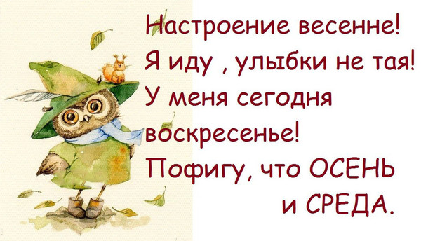 Открытка Открытки с приколами на каждый день - Открытка с совой и осенними листьями | Красивая открытка #2