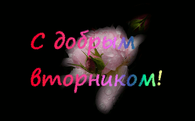 Открытка открытки с пожеланиями удачного понедельника  - Открытка с розовым цветком | Красивая открытка #13