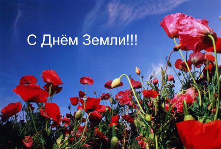 Открытка Открытки с Международным днем Матери-Земли - Поле красных маков на фоне голубого неба. | Красивая открытка #39