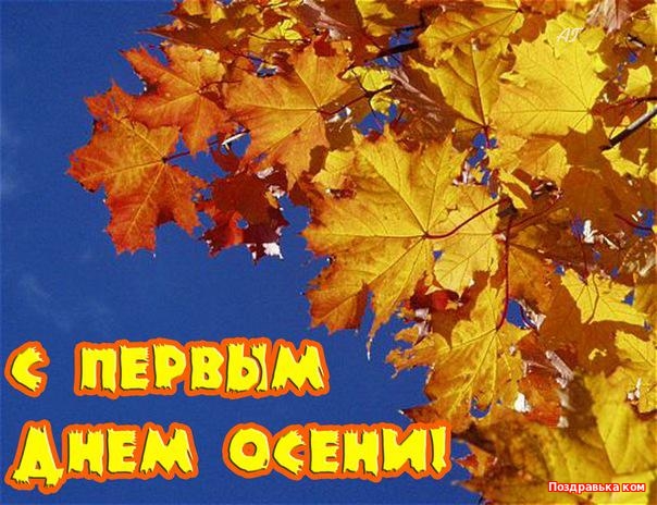 Открытка открытки с первым осенним днем  - С Днём Осени: Красивые открытки с жёлтыми листьями | Красивая открытка #14