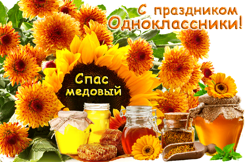 Открытка Медовый спас - Открытка с подсолнухами и мёдом | Красивая открытка #249
