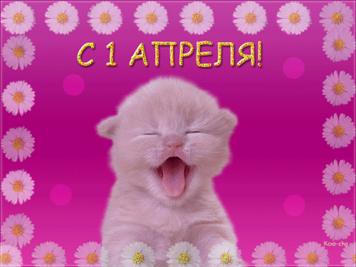 Открытка Открытки с 1 апреля - С Днём Рождения! Открытка с милым котёнком | Красивая открытка #106