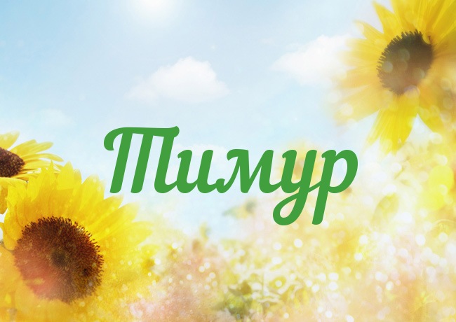 Открытка Открытки с именем Тимур - Открытка с подсолнухами на фоне неба | Красивая открытка #10