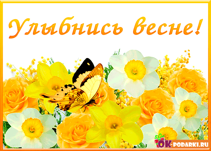 Открытка Открытки весенняя пора - Открытка с нарциссами, розами и бабочкой | Красивая открытка #87