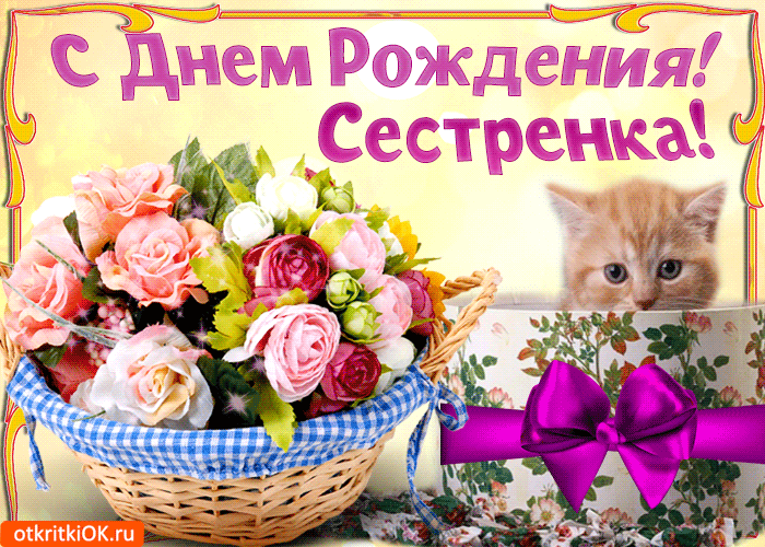 Открытка с днём рождения сестра - Открытка с цветами и котенком на День рождения! | Красивая открытка #53