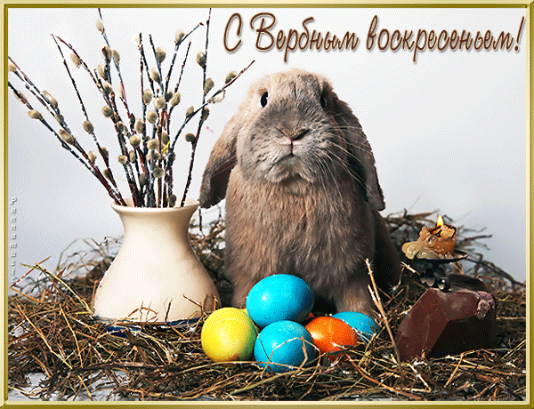 Открытка открытки с вербным воскресеньем  - Зайчик, верба и пасхальные яйца. | Красивая открытка #34