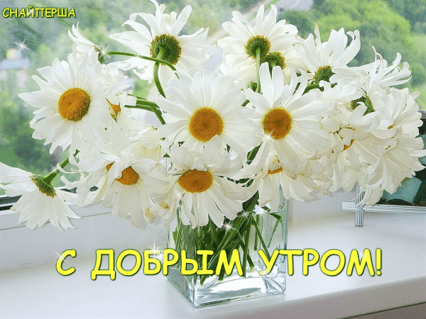 Открытка Доброе утро - Открытка с цветами: Полевые цветы в вазе | Красивая открытка #338