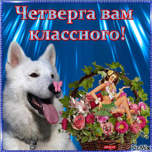 Открытка Открытки на четверг - Открытка: немецкая овчарка и фея | Красивая открытка #174