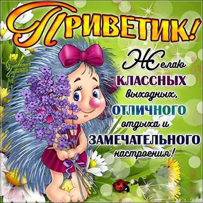 Открытка Выходные - Открытка с ежиком и цветами  Праздничная открытка | Красивая открытка #44