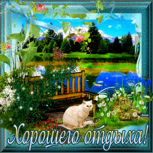 Открытка Открытки хорошего отдыха - Кошка на природе: открытка с цветущими ветками | Красивая открытка #174