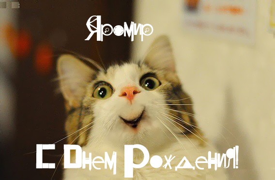 Открытка Открытки с именем Яромир - Открытка с милым котенком на день рождения | Красивая открытка #10