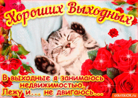 Открытка Открытки хороших выходных - Кошка на открытке: милая кошечка с красными розами | Красивая открытка #177