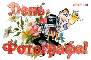 Открытка Открытки с днем фотографа - Открытка с фотографом и цветами | Красивая открытка #37