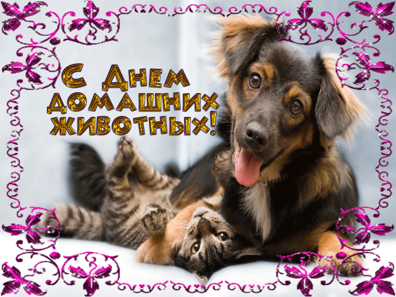 Открытка Открытки на Всемирный день домашних животных - Открытка "С Днем домашних животных": собака и кот | Красивая открытка #2