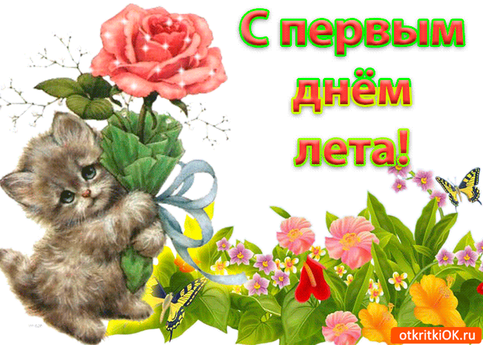 Открытка С первым днём лета - Котенок с цветами и бабочками - поздравительная открытка | Красивая открытка #79