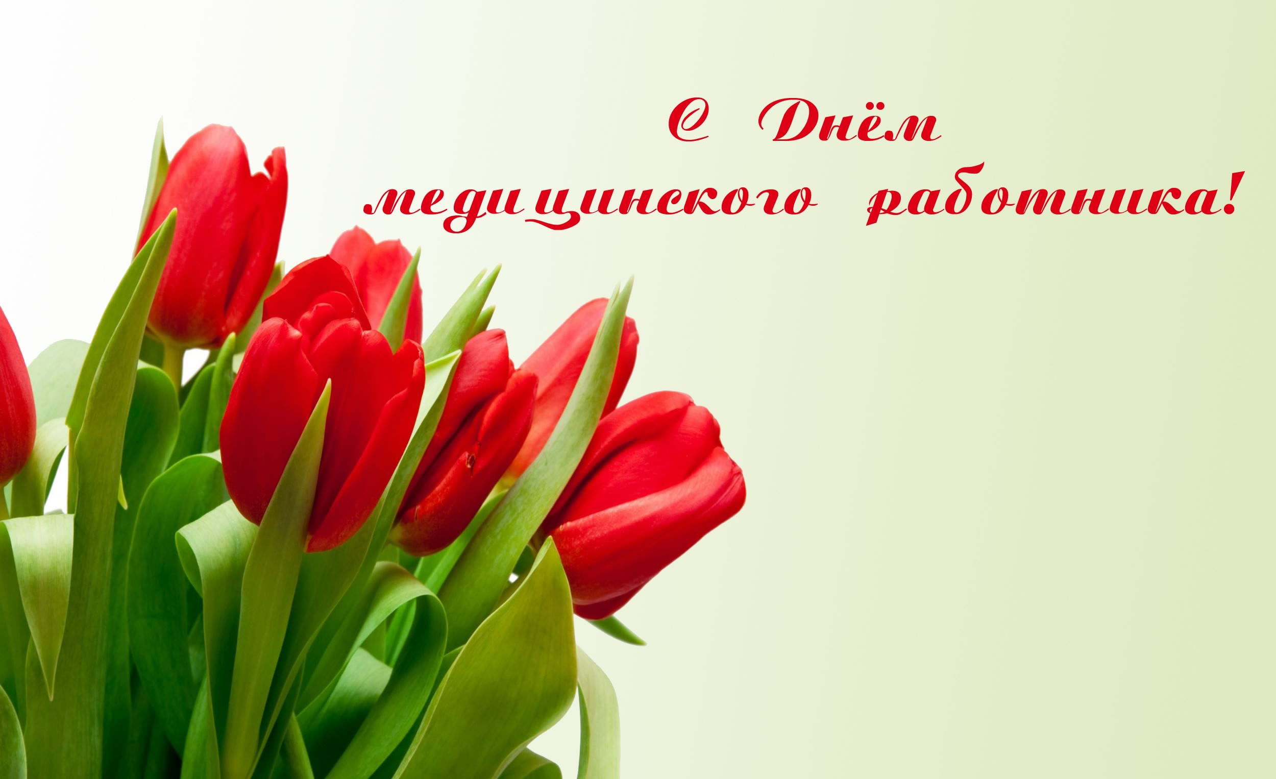 Открытка День медицинского работника - Красные тюльпаны на фоне зелени. | Красивая открытка #48