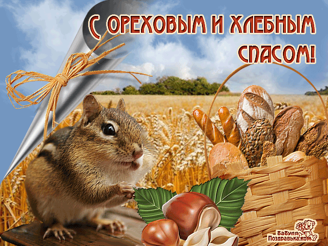 Открытка Ореховый спас - Белка с орехами и хлебом: открытка с природой | Красивая открытка #13