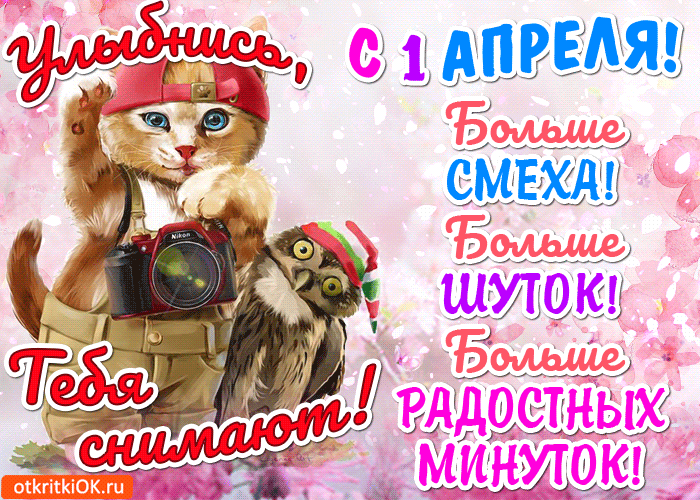 Открытка Открытки с 1 апреля - Открытка с котиком и фотоаппаратом  Прикольная поздравительная | Красивая открытка #17