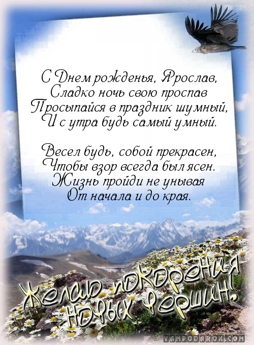 Открытка Открытки с именем Ярослав  - Открытка с днем рождения: орёл в горах | Красивая открытка #32