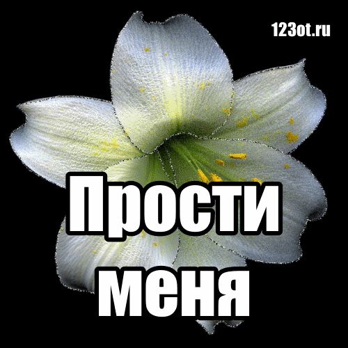 Открытка открытки с извинениями  - Открытка с цветком лилии | Красивая открытка #41