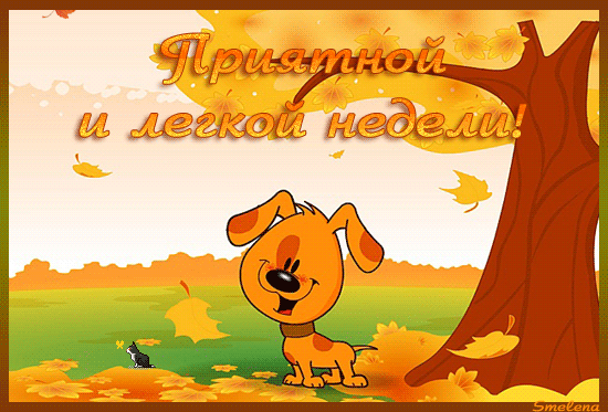 Открытка Открытки удачной недели - Открытка с щенком и осенними листьями | Красивая открытка #249