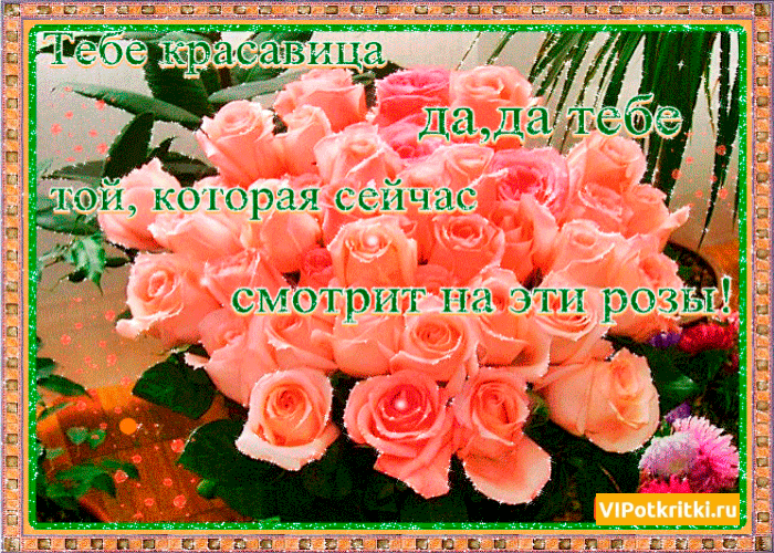 Открытка Для тебя - Розовые розы на открытке — VIPotkritki.ru | Красивая открытка #58