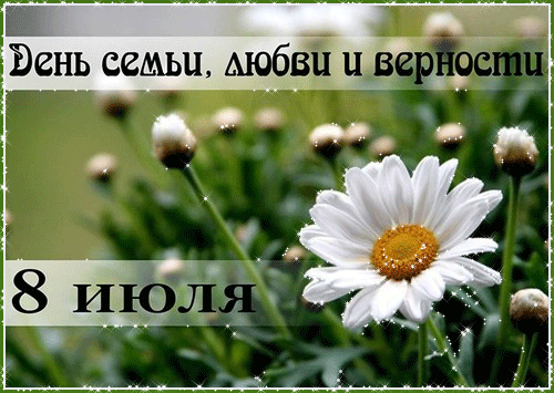 Открытка День семьи, любви и верности - Открытка с ромашками  День семьи, любви и верности | Красивая открытка #13