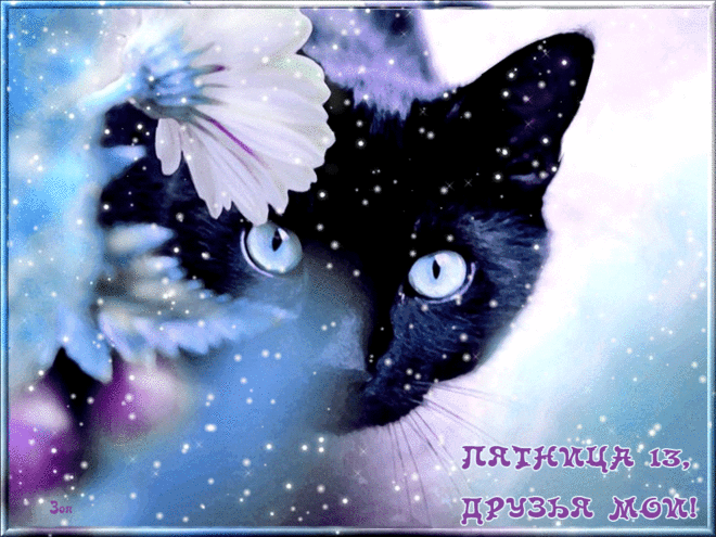 Открытка Открытки на пятницу 13 - Черный кот с бабочкой - открытка | Красивая открытка #170