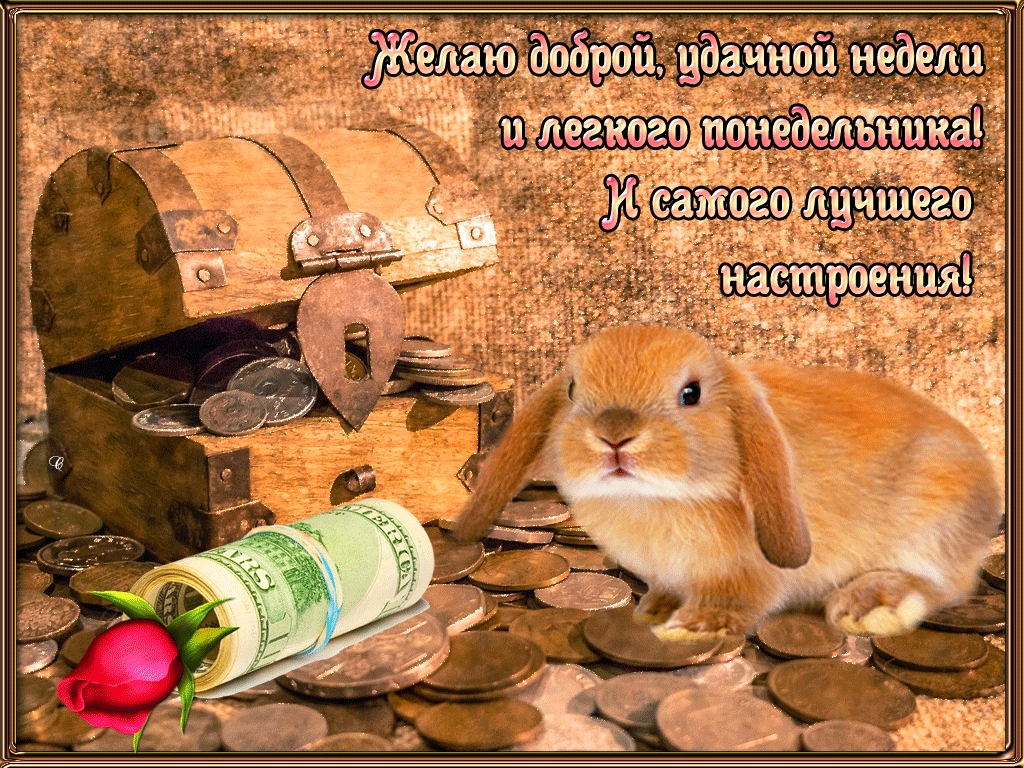 Открытка Открытки удачной недели - Зайчик, монеты и сундук с деньгами  поздравительная открытка | Красивая открытка #82