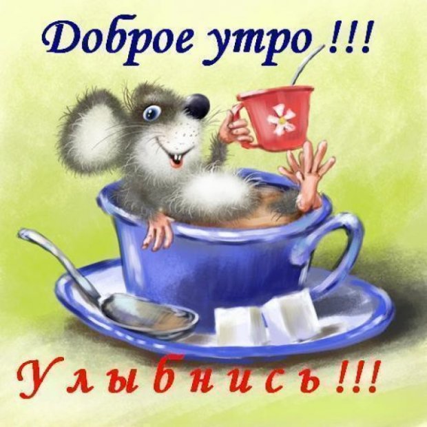 Открытка открытки с добрым утром - Мышь с чашкой чая | Красивая открытка #15